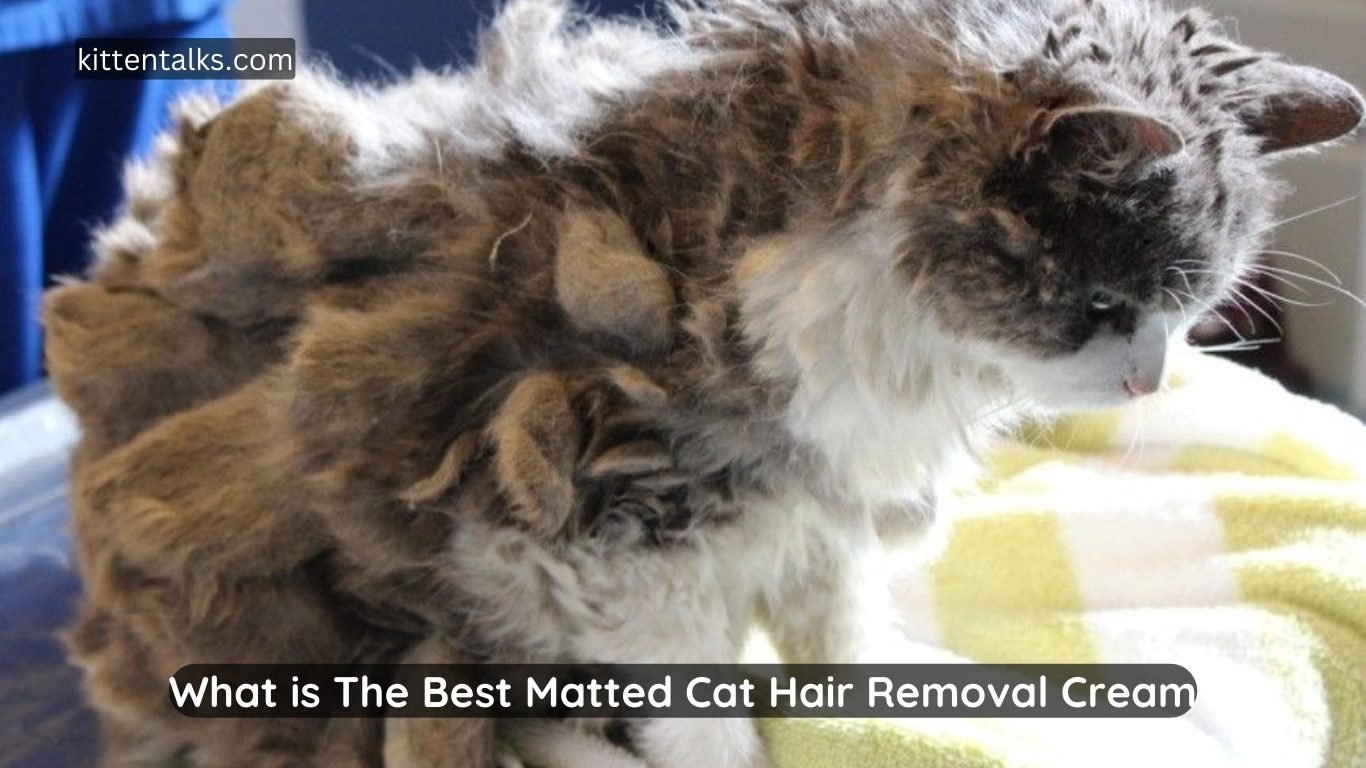 What is The Best Matted Cat Hair Removal Cream